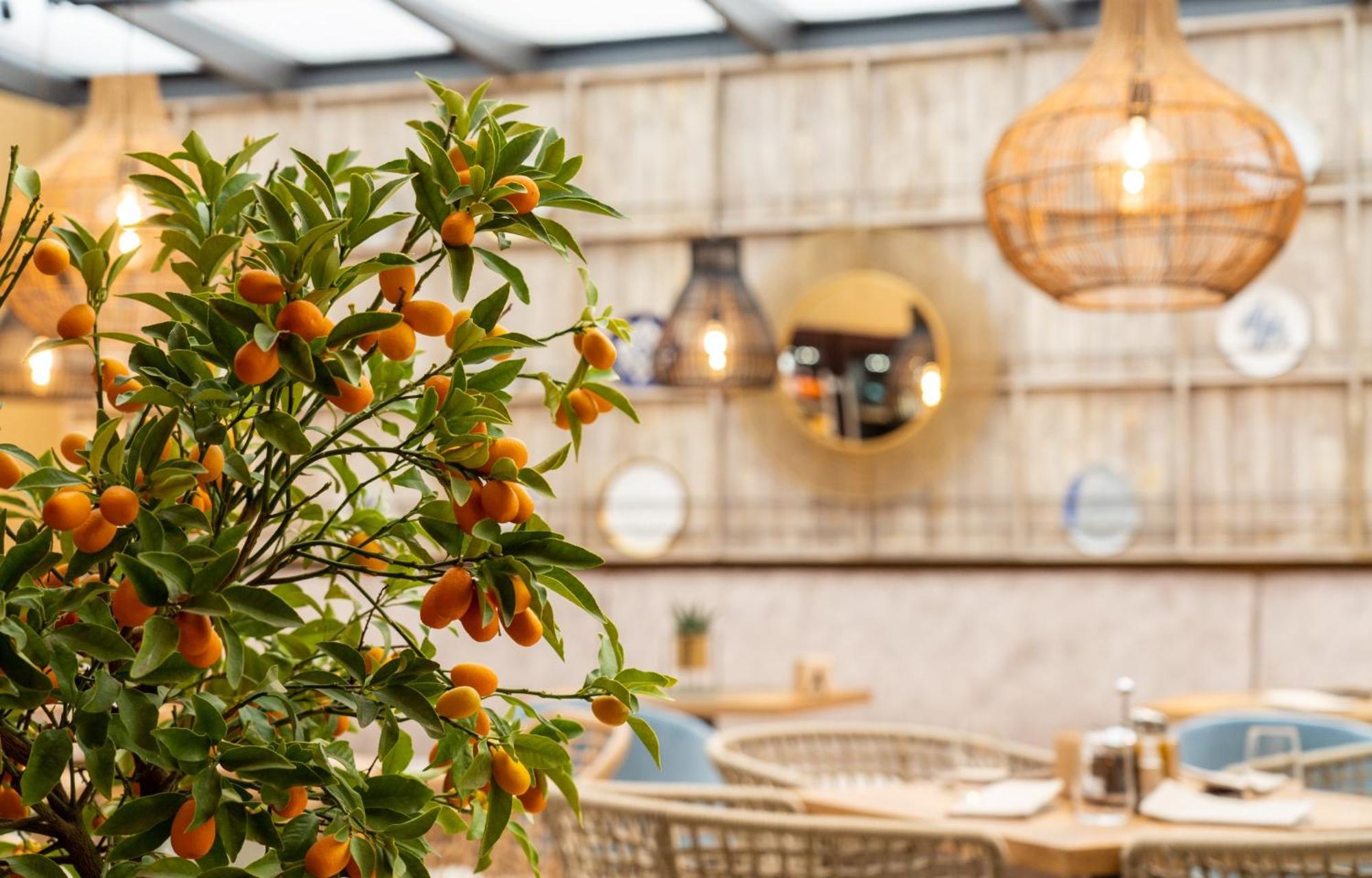 Hotel Residence Promenade 布尔加斯 外观 照片 Restaurant